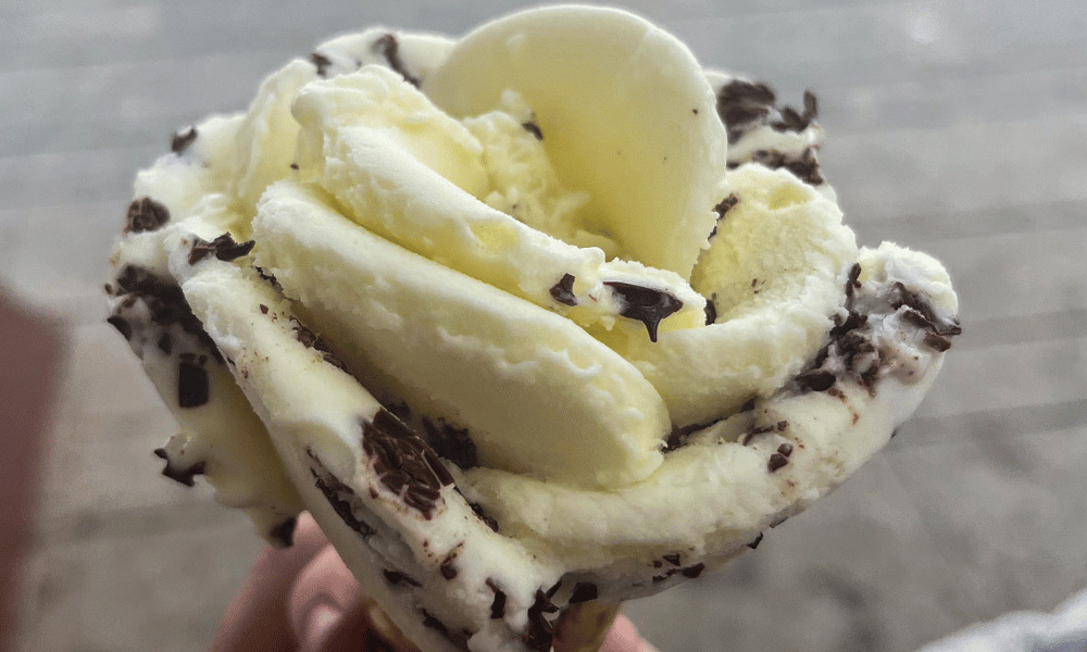 Vanilla ice cream with chocolate chunks in the shape of a rose