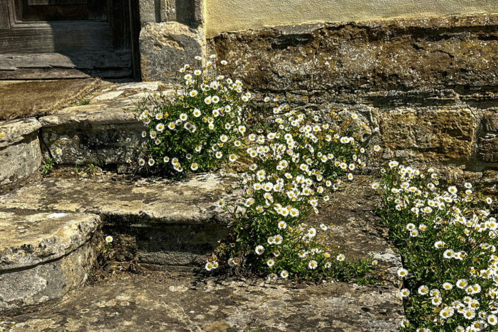 Gardens-at-Canons-Ashby-2